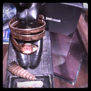 Roberto Cavalli snake watch in rose gold(sold out)